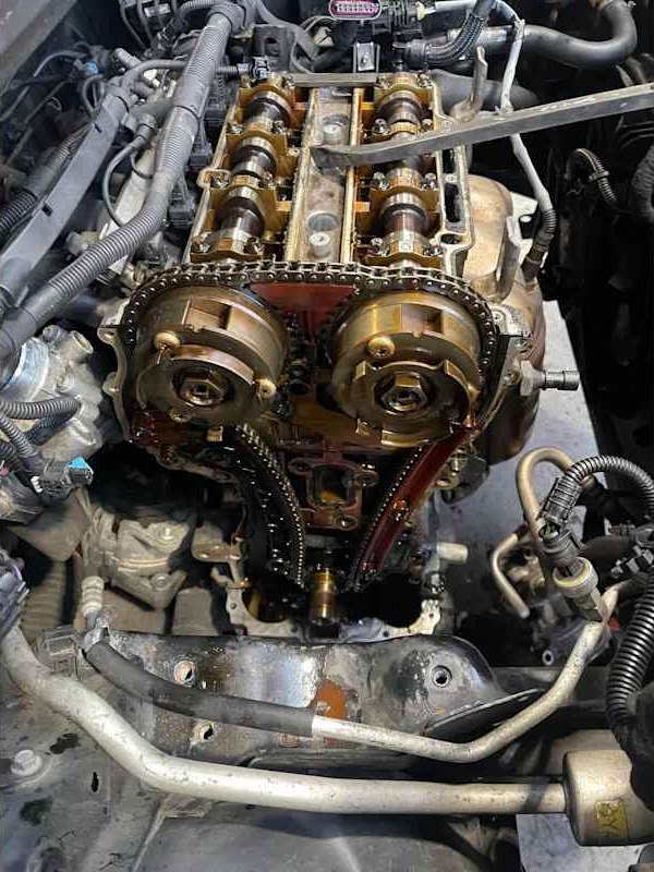 Timing belt and camshafts on an engine